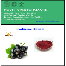 Pure Natural Orangic Best Quality Blackcurrant Extract